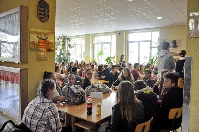 csibetábor az aranyban 29